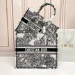 Large  Dior Book Tote Bag