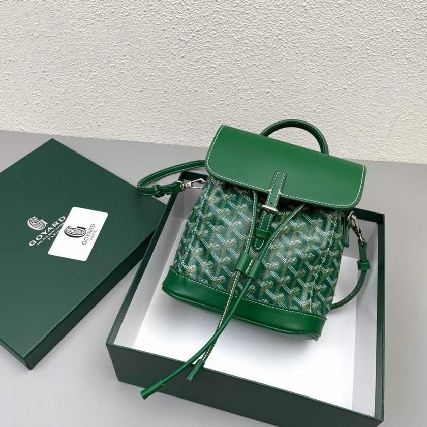 Goyard alpin mini backpack