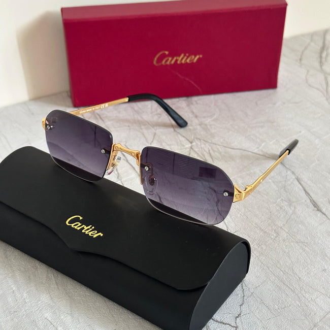 Cartier CT0092S Santos de Cartier Sunglasses