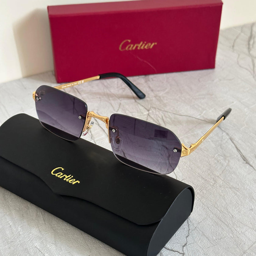 Cartier CT0092S Santos de Cartier Sunglasses