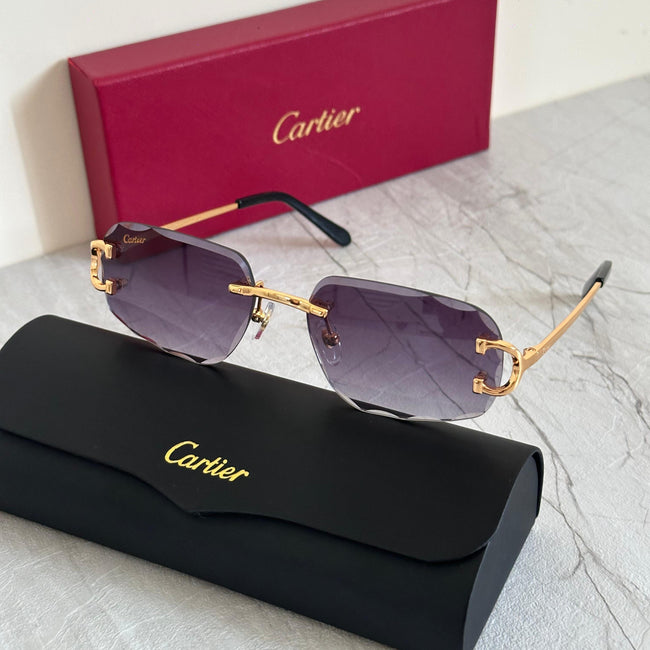 Cartier CT0226S Rimless Sunglasses