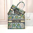 Medium Dior Book Tote Bag
